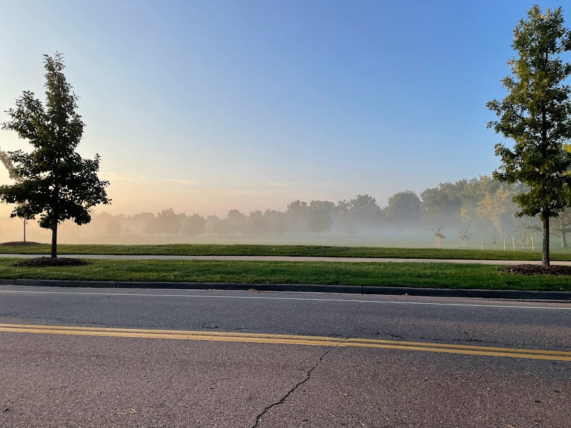 sunrise in fog