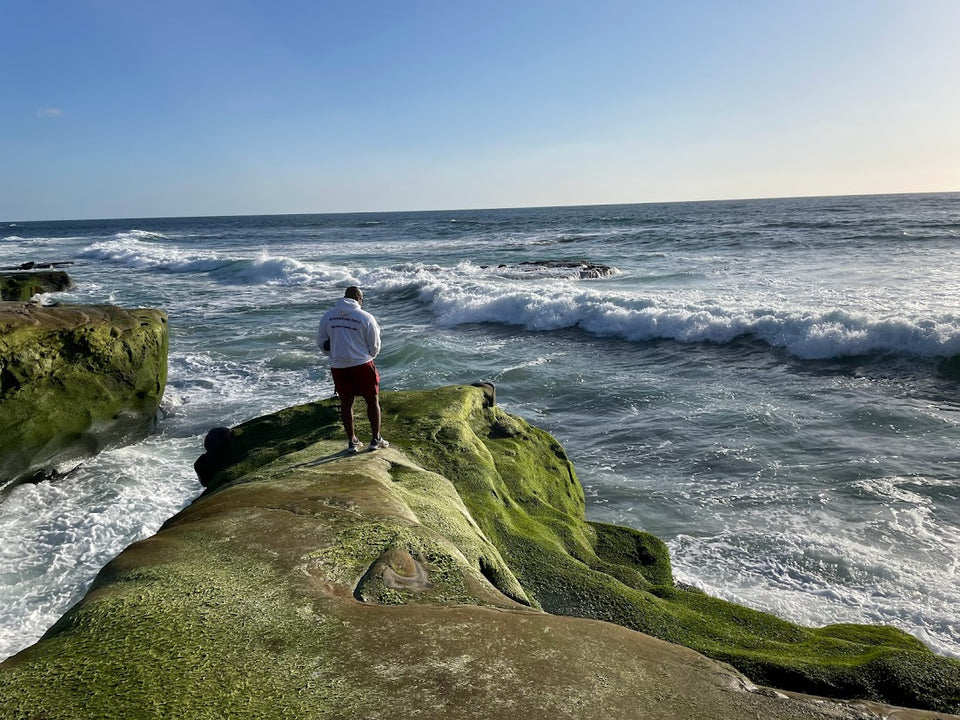Reduce Stress and Boost Productivity: Mindfulness for Busy Professionals